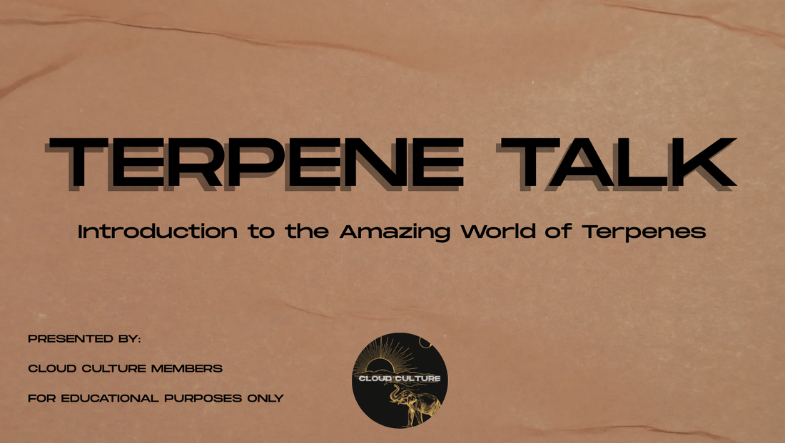 TERPENE TALK: Introduction to the Amazing world of Terpenes