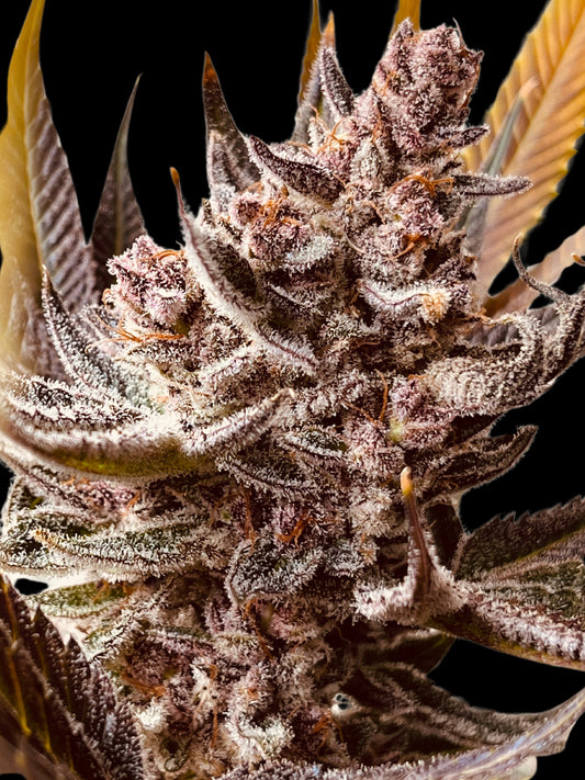 STRAWBERRY CREAM CAKE F2